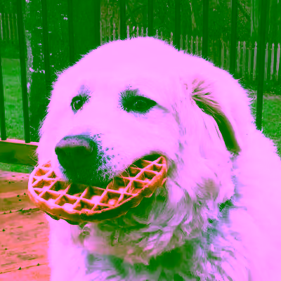 Paul
